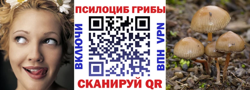 KRAKEN зеркало  Тара  Псилоцибиновые грибы прущие грибы 